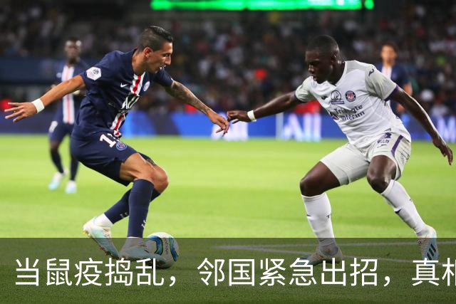 当鼠疫捣乱，邻国紧急出招，真相背后有猫腻？